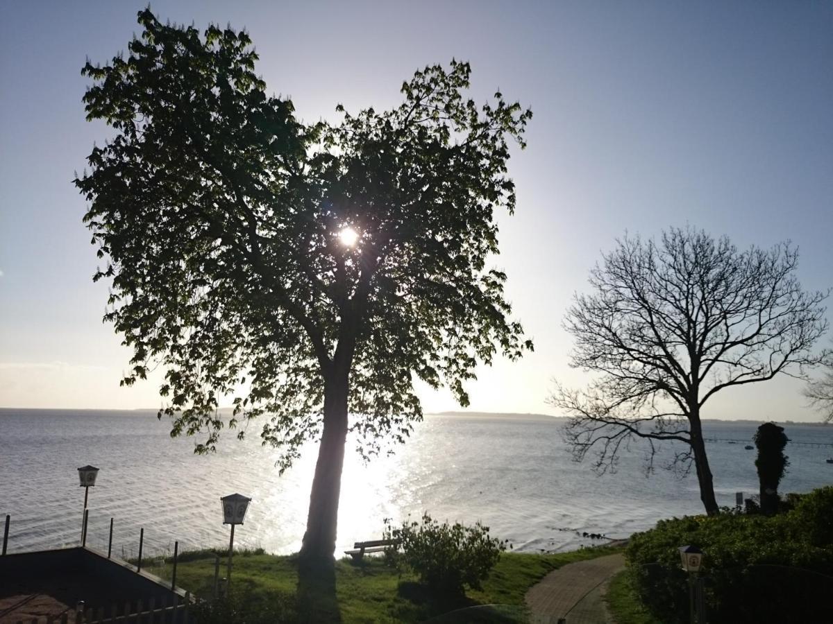 Strandappartement Steinberghaff "Farborg" Mit Meerblick 스타인베르크 외부 사진